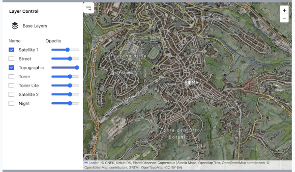 The satellite image is visible on top of topographic map, because the opacity of the higher layer (satellite image) is not 100% (30% transparent)